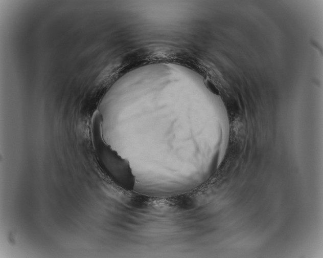 X0000096460423200802211131