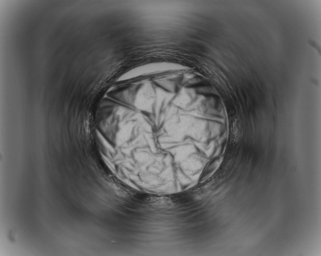 X0000096460424200802211131