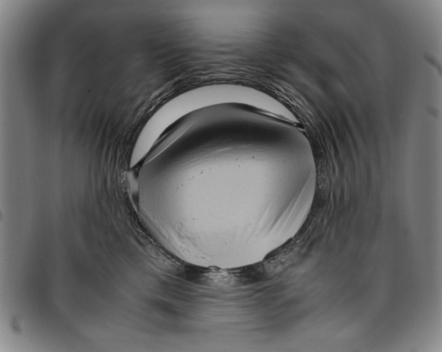X0000096460425200802211131