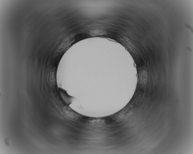 X0000096460426200802211131