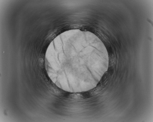 X0000096460427200802211131