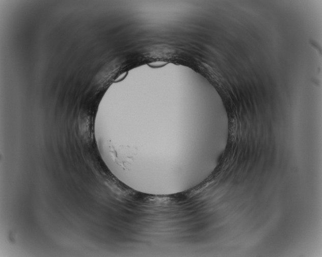 X0000096460428200802211131