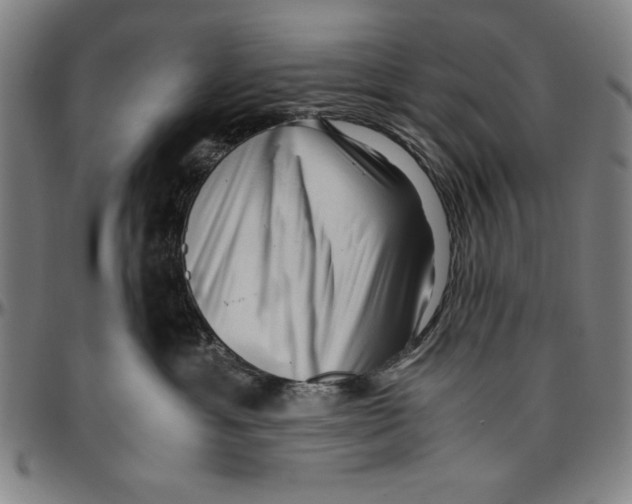 X0000096460429200802211130