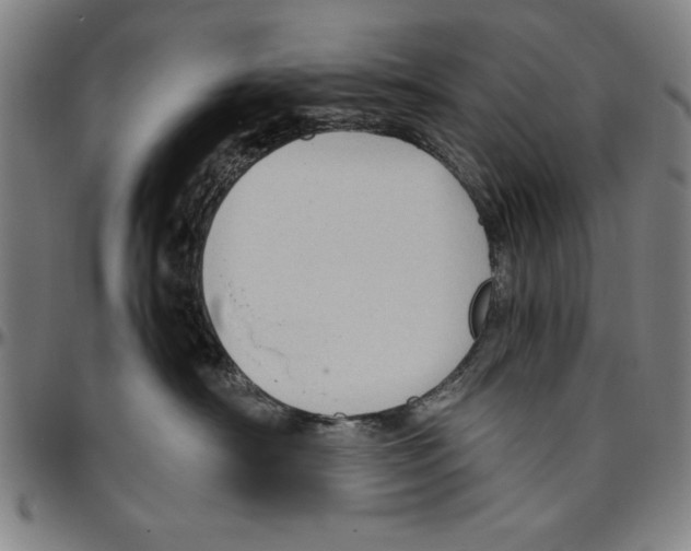 X0000096460430200802211130