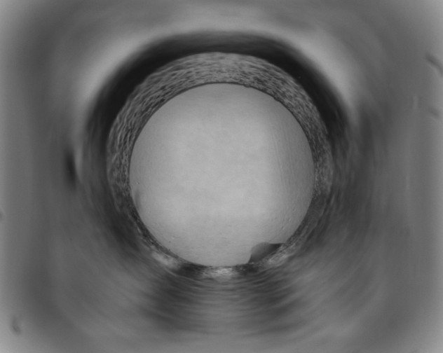 X0000096460431200802211130