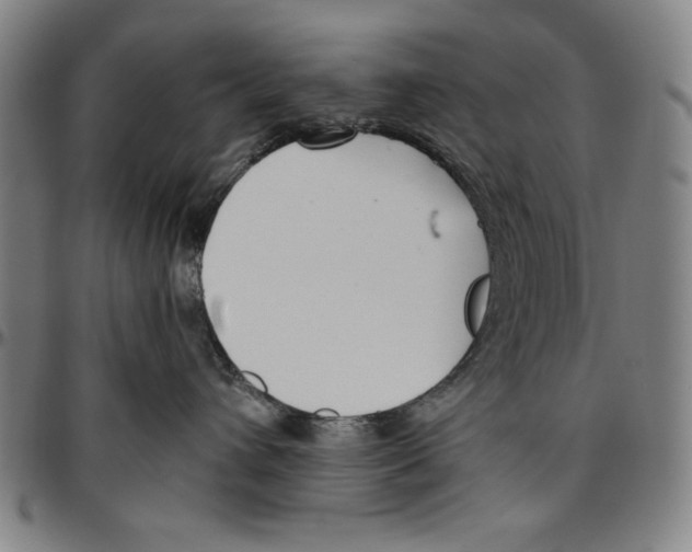 X0000096460432200802211130
