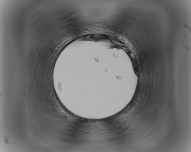 X0000096460433200802211130