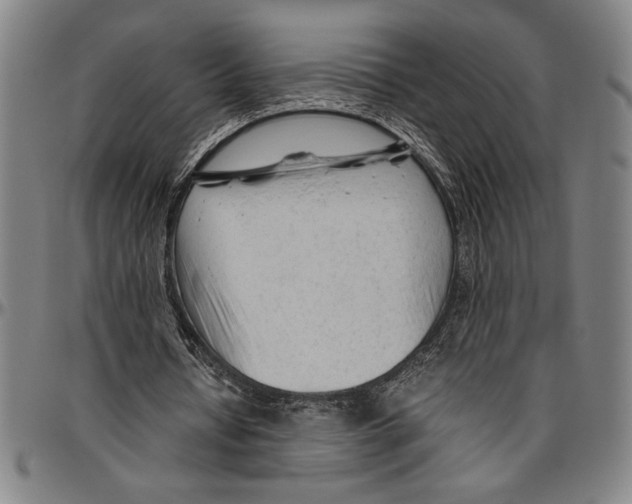 X0000096460434200802211130