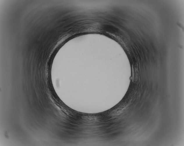 X0000096460435200802211130