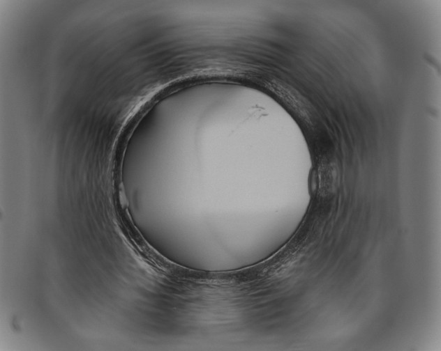 X0000096460436200802211130