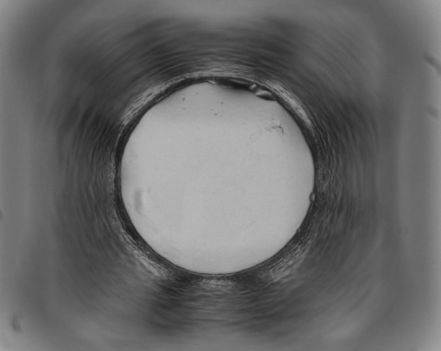 X0000096460437200802211130