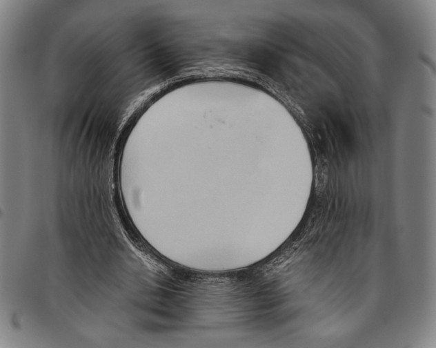 X0000096460438200802211130