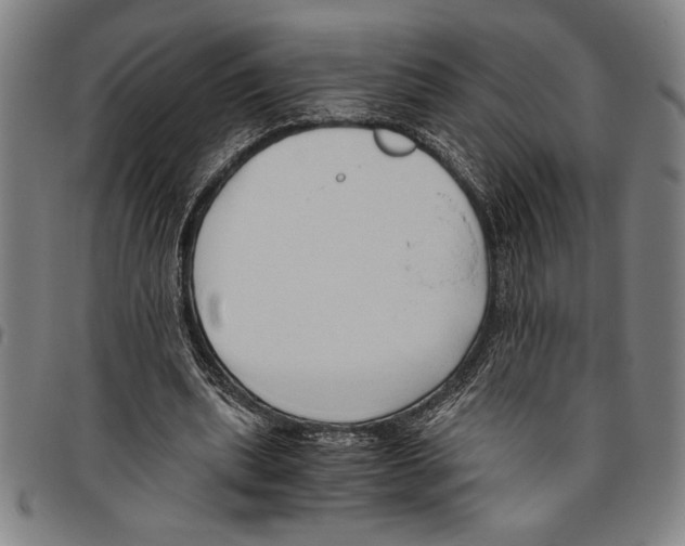 X0000096460439200802211130