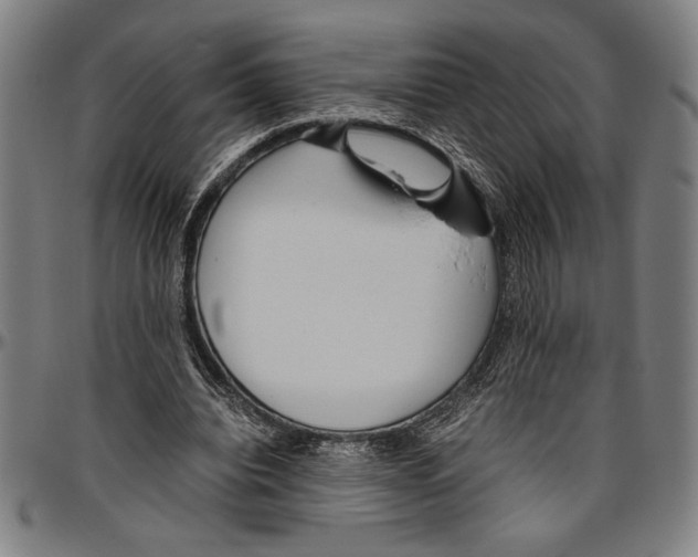 X0000096460440200802211130