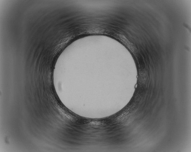 X0000096460441200802211130