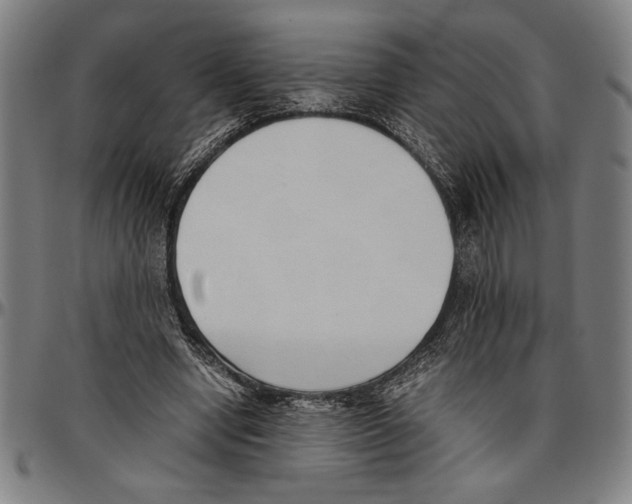 X0000096460442200802211130