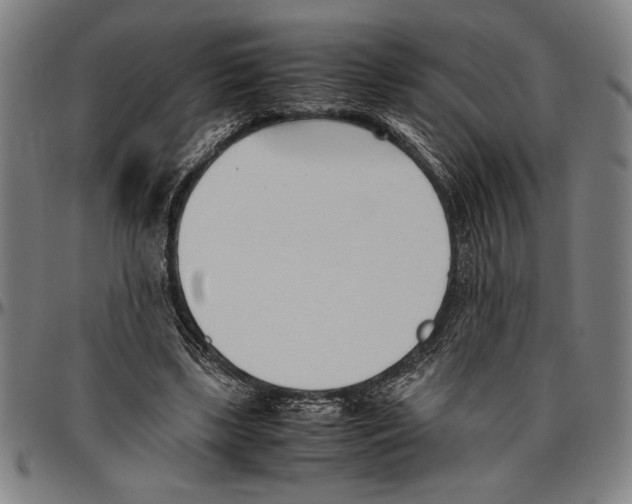 X0000096460443200802211130