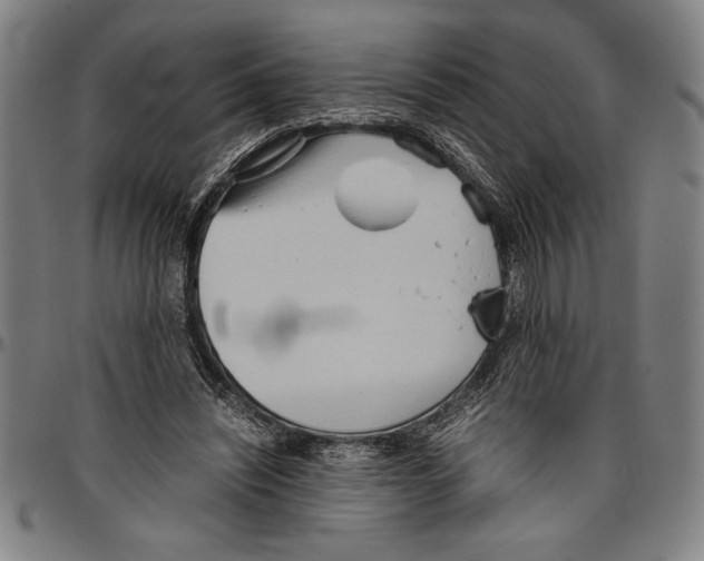 X0000096460444200802211130