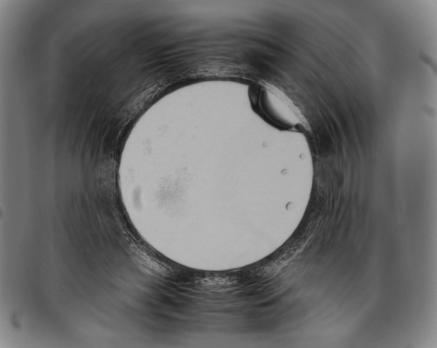 X0000096460445200802211130