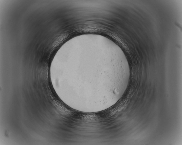 X0000096460446200802211130