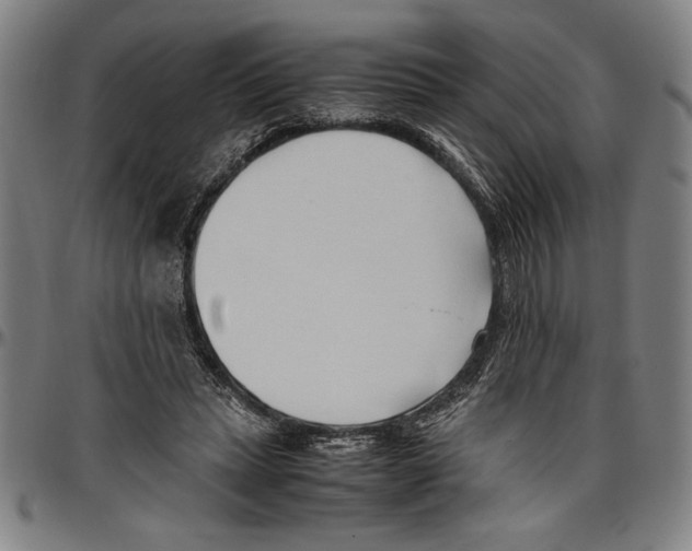 X0000096460447200802211130