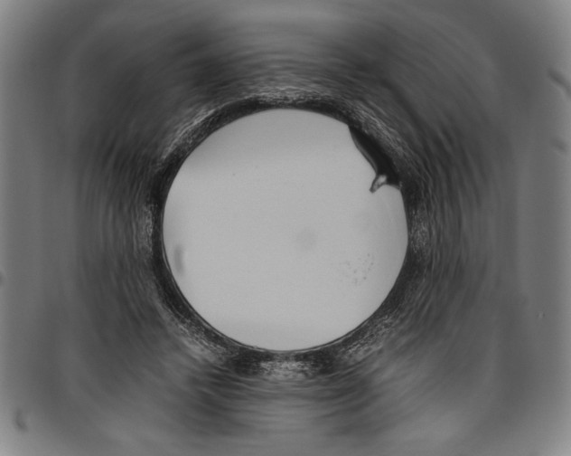X0000096460448200802211130