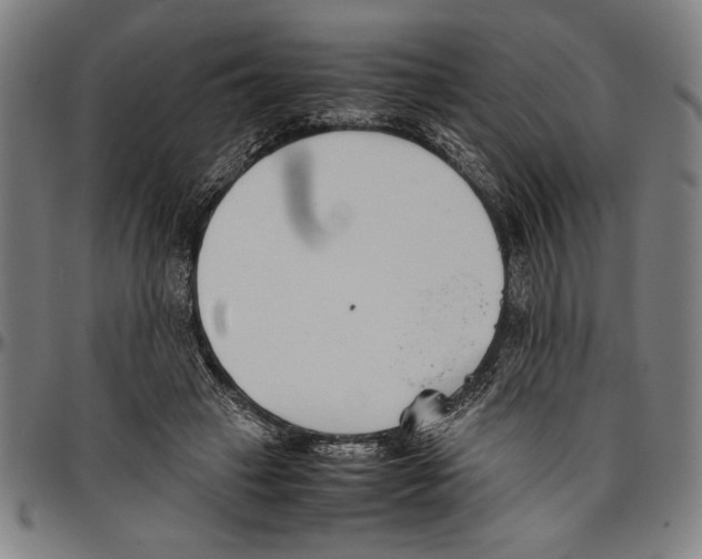 X0000096460449200802211130