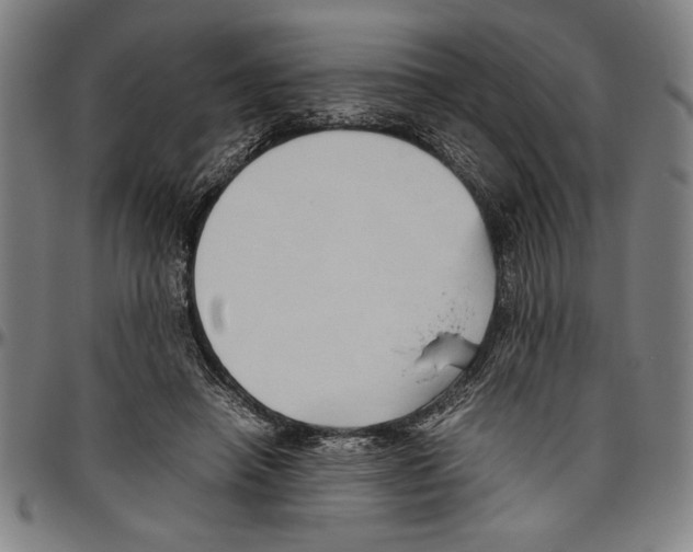 X0000096460450200802211130