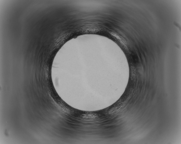 X0000096460451200802211130