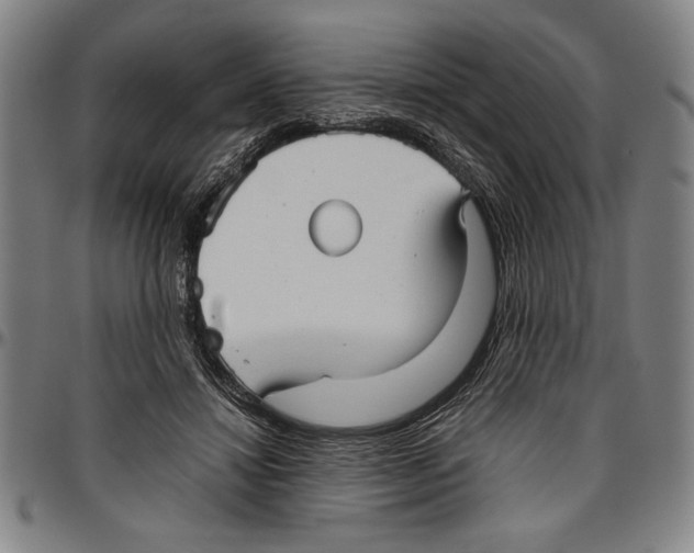 X0000096460452200802211130