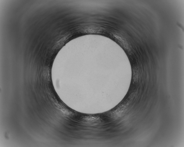X0000096460453200802211130