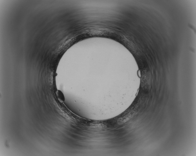 X0000096460454200802211130