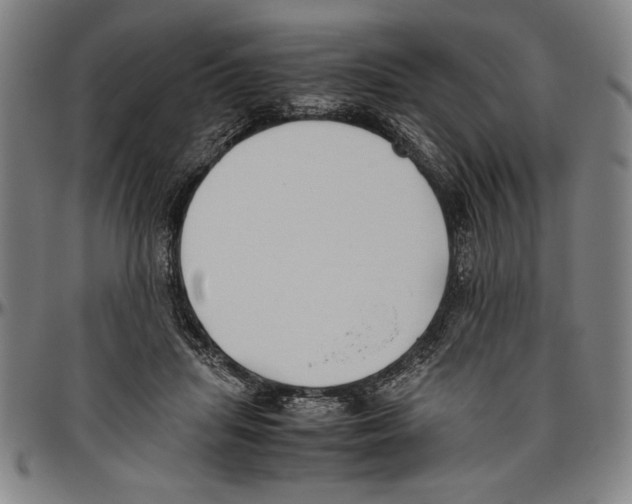 X0000096460455200802211130