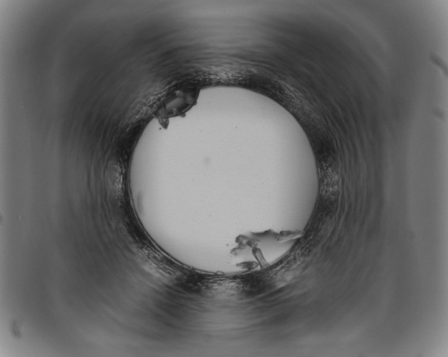 X0000096460456200802211130