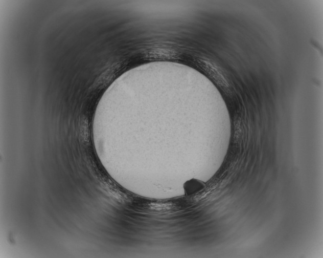 X0000096460457200802211130