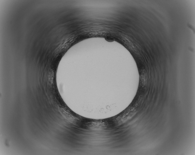 X0000096460458200802211130