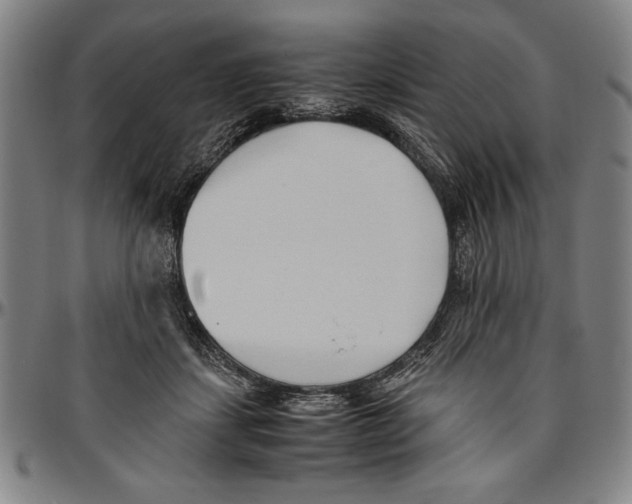X0000096460459200802211130
