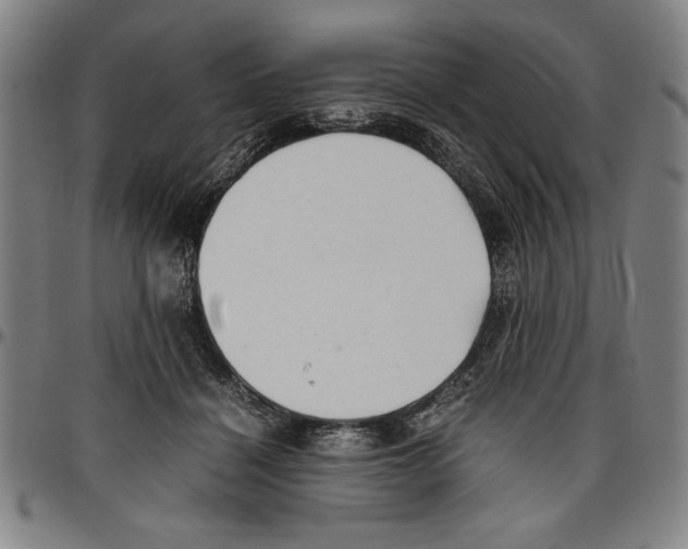 X0000096460460200802211130