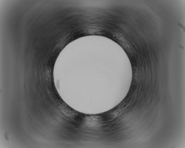 X0000096460461200802211130