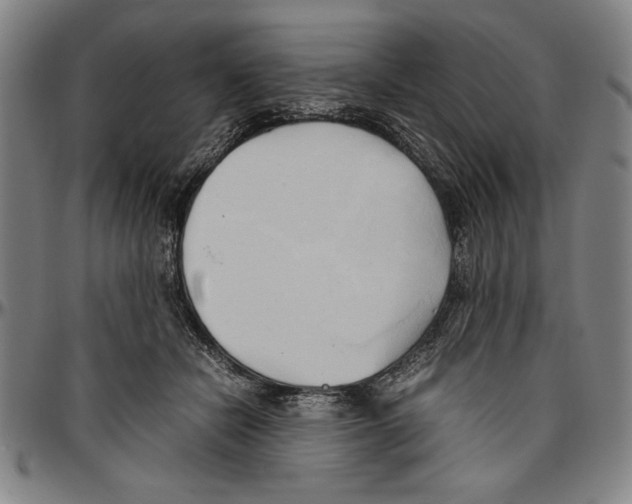 X0000096460462200802211130
