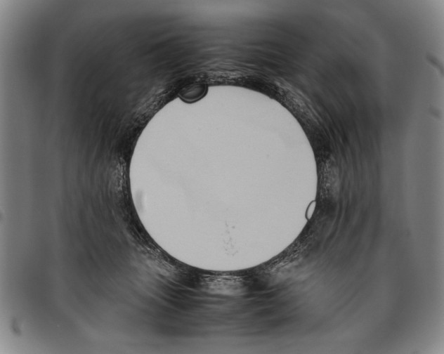 X0000096460463200802211130