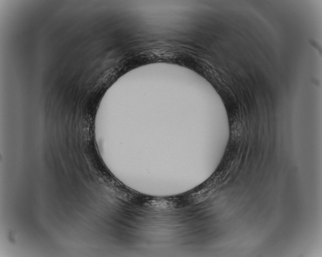 X0000096460464200802211130
