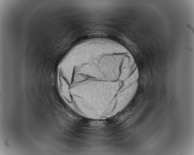 X0000096460465200802211130