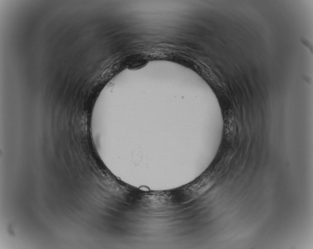 X0000096460466200802211130