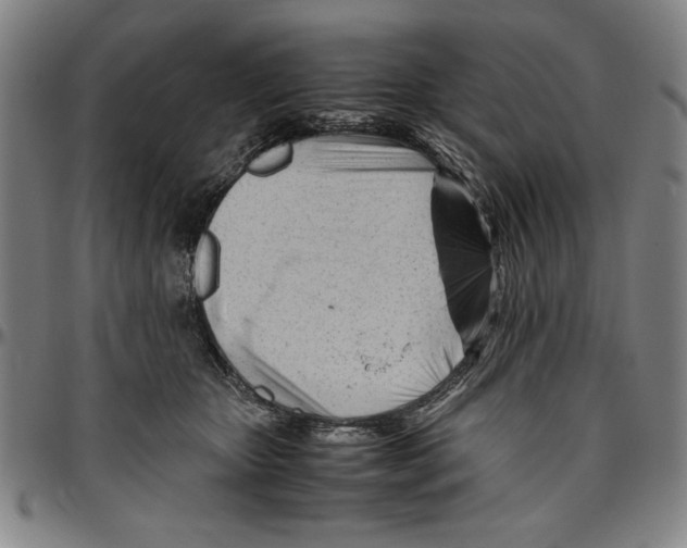 X0000096460467200802211130