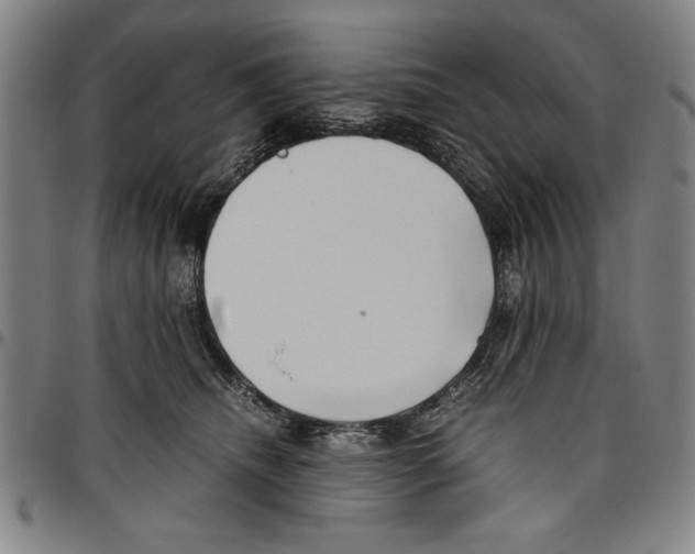 X0000096460468200802211130
