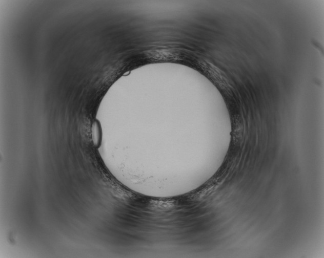 X0000096460469200802211130