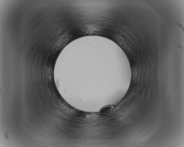 X0000096460470200802211130