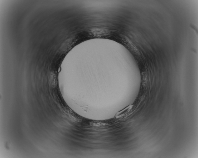 X0000096460471200802211130