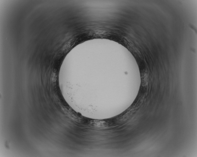 X0000096460472200802211130